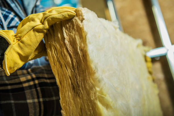 Best Spray Foam Insulation  in Louisiana, MO