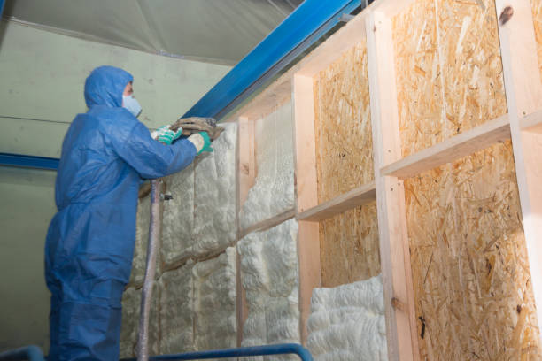 Best Garage Insulation Installation  in Louisiana, MO