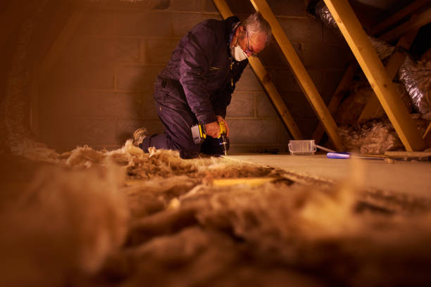 Best Local Insulation Services  in Louisiana, MO